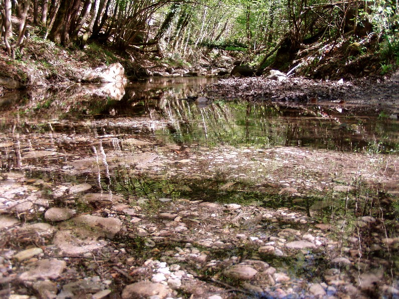 Valle del Farma e Stagno della Troscia: luoghi meravigliosi!